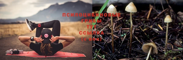 марки nbome Зеленокумск