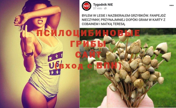 МДПВ Иннополис