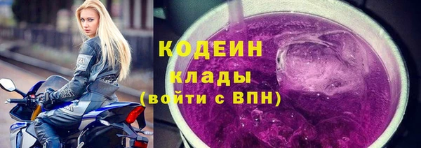 МДПВ Иннополис